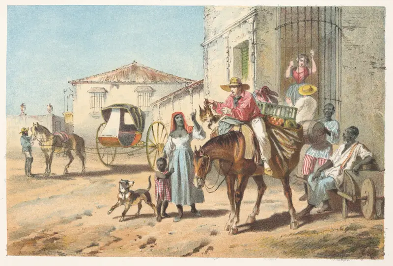 Domácí pán, Pierre Toussaint Frédéric Mialhe