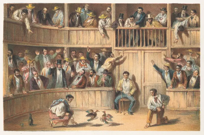 Kohoutí zápasy, Pierre Toussaint Frédéric Mialhe