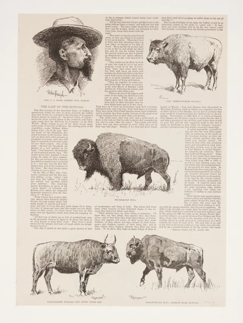 6 drawings of American buffalo and portrait of Ho.N.C.J. Jones, Garden City, Kansas av Frederic Remington