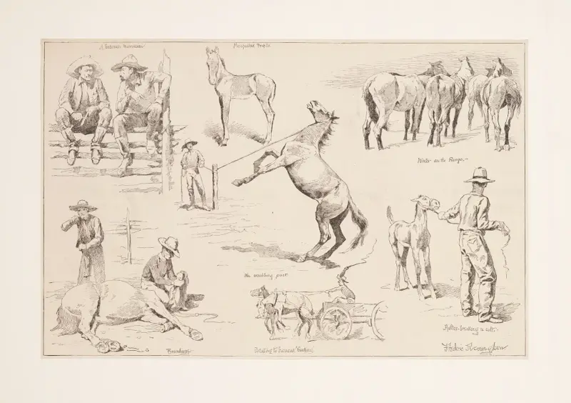 Horse raising in the northwest av Frederic Remington