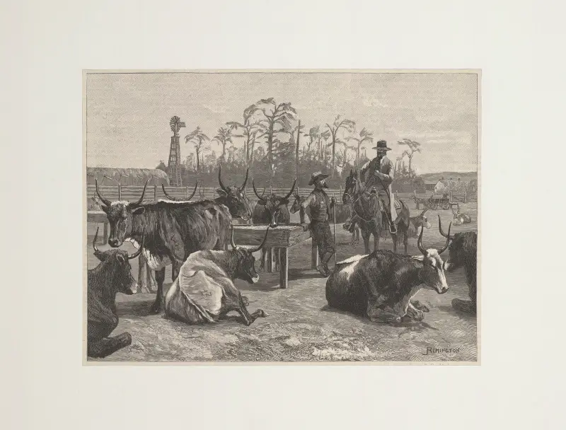 Texan cattle in Kansas corn corral av Frederic Remington