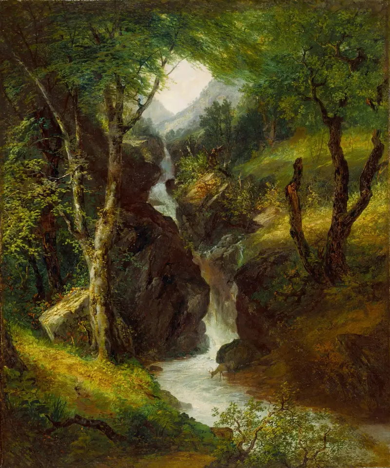 Kaskáda v lese, John Frederick Kensett