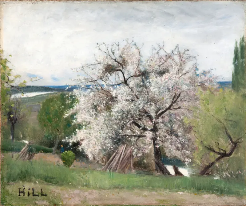 Fruktträd i blom, Bois-le-Roi av Carl Fredrik Hill