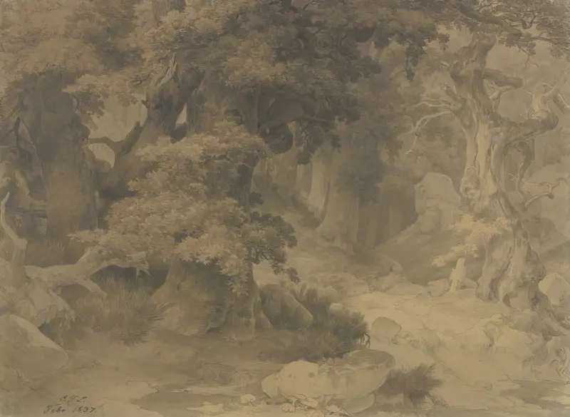 Dębowy las, Karl Friedrich Lessing