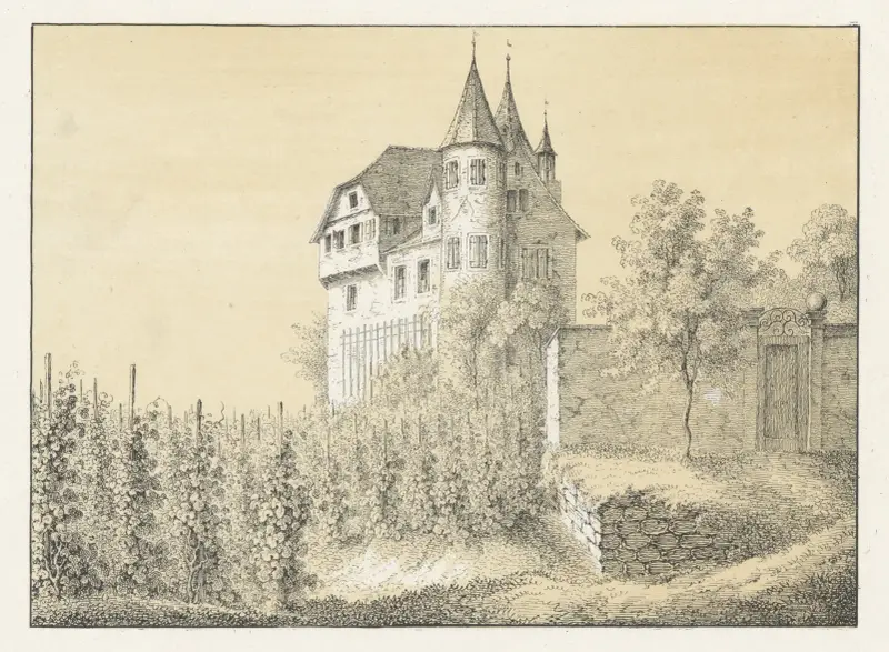 Weinstein von Johann Friedrich Wagner