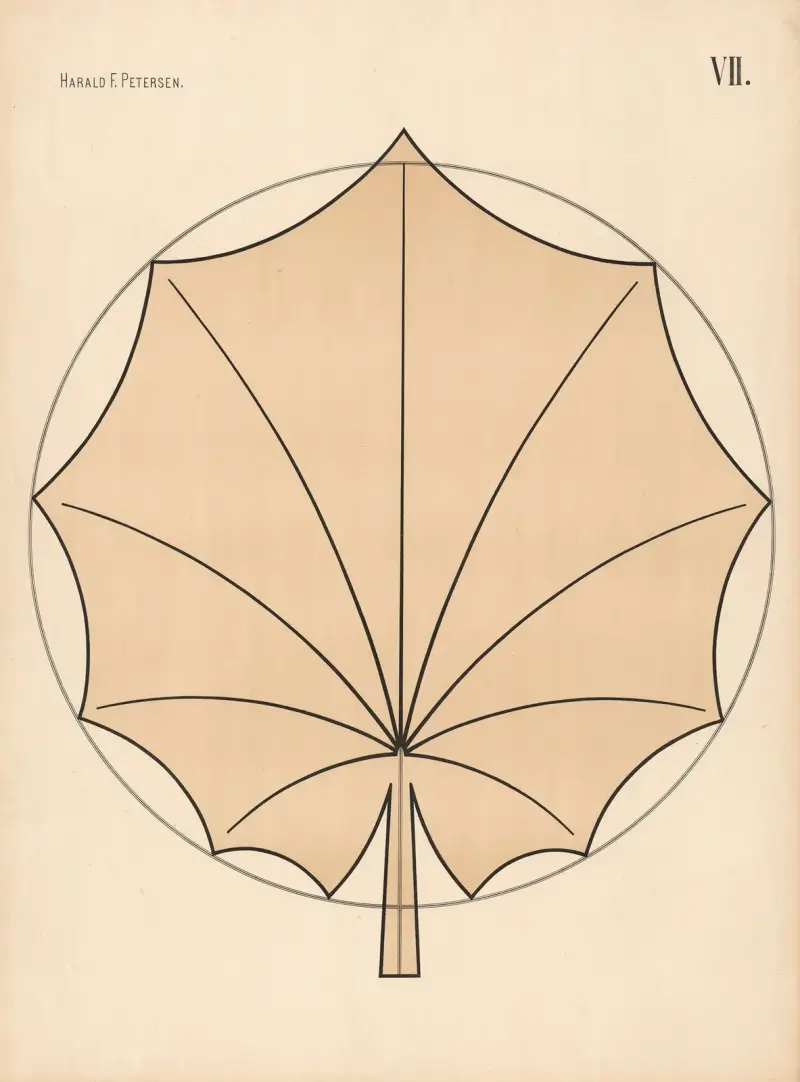 Elementary Freehand Drawing vol.2 Pl.07 av Harald Frithjof Petersen