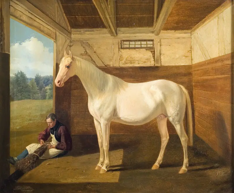 Svanhvide, Fritz Thomsen