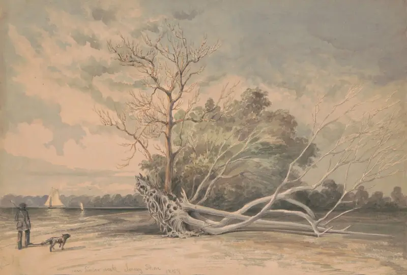 Near Timber Creek, Jersey shore av James Fuller Queen