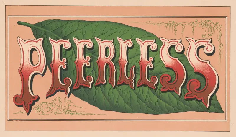 Peerless von James Fuller Queen