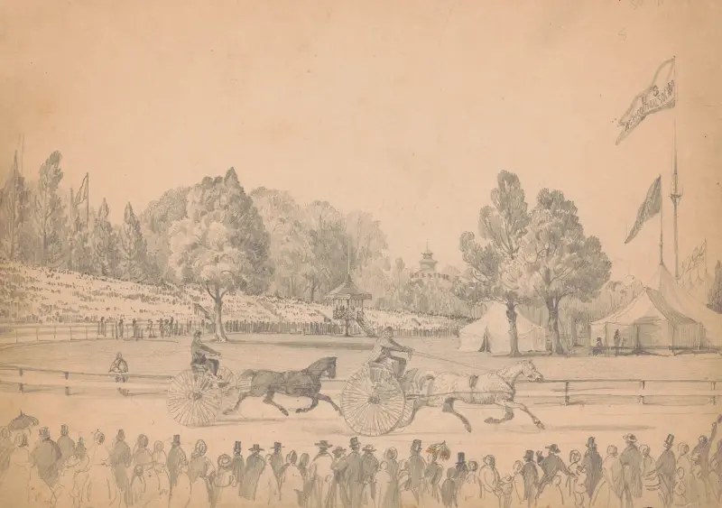Two harness racing horses pulling their sulkies on race course av James Fuller Queen