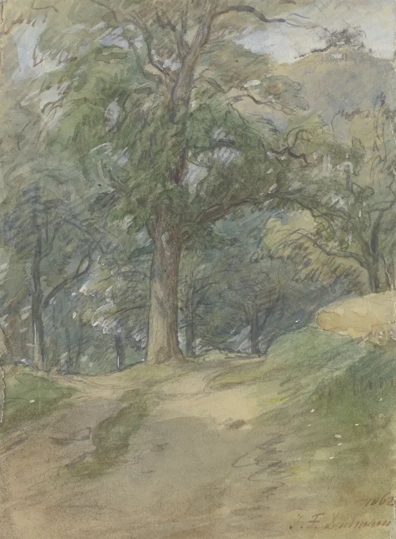 Sonniger Waldweg von Jakob Fürchtegott Dielmann