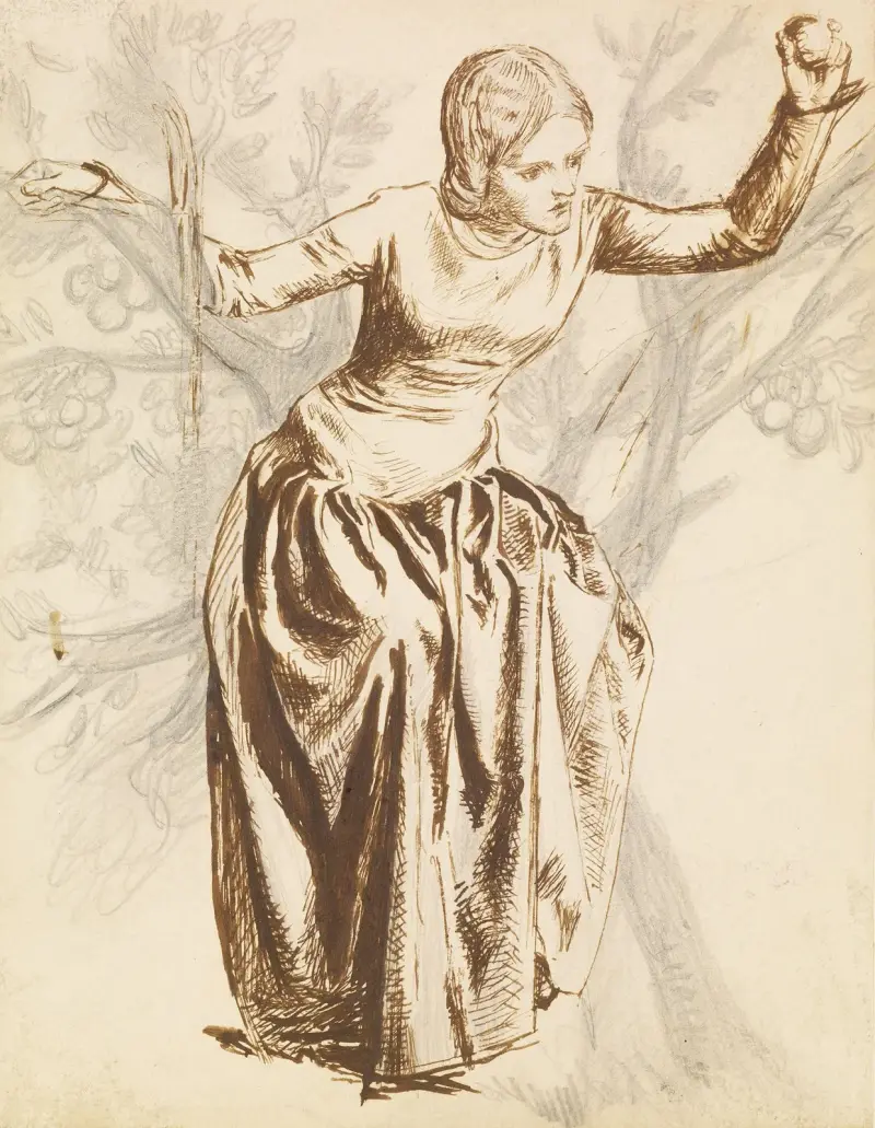 Studie von Guenevere, in einem Apfelbaum sitzend von Dante Gabriel Rossetti