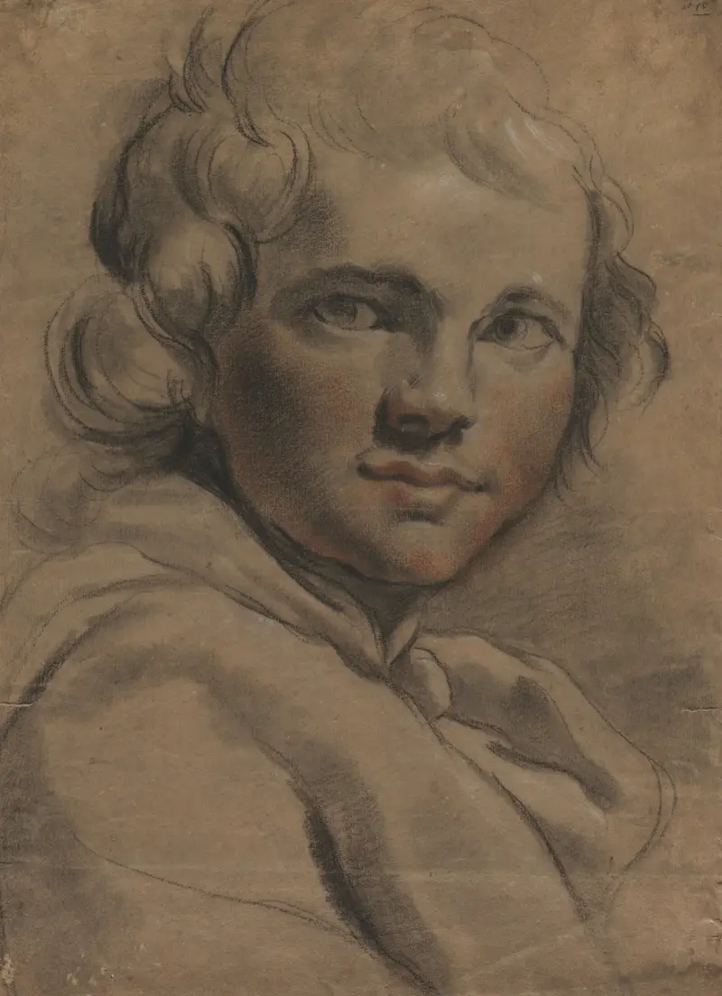 Head of a Young Man (recto) av Gaetano Gandolfi