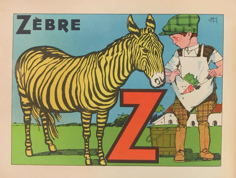 Zebra, Gaston Marechaux