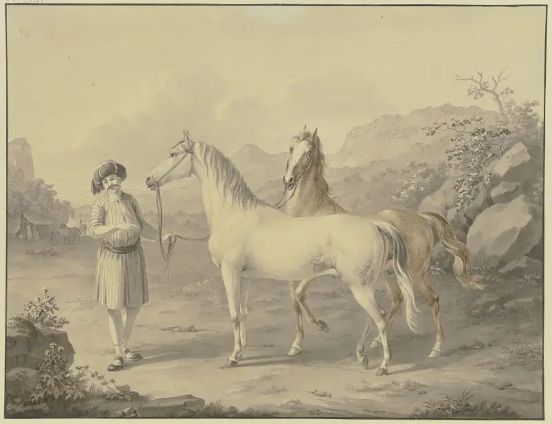 Arabische Pferde von Johann Georg Pforr