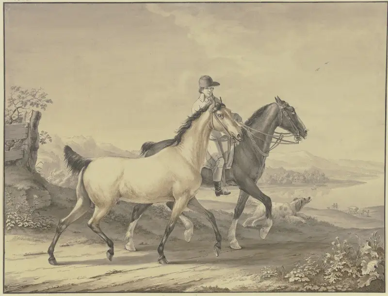 English horses av Johann Georg Pforr