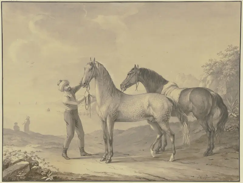 Konie z Tunisu, Johann Georg Pforr