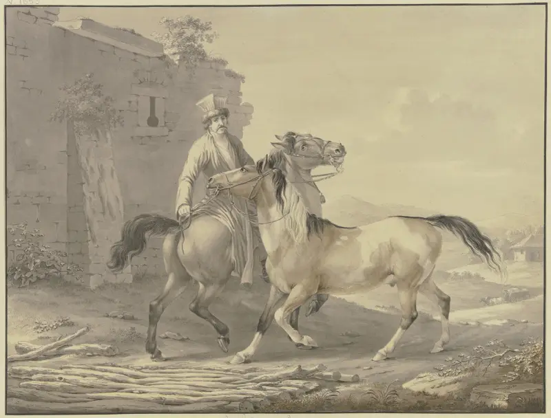 Polští koně, Johann Georg Pforr