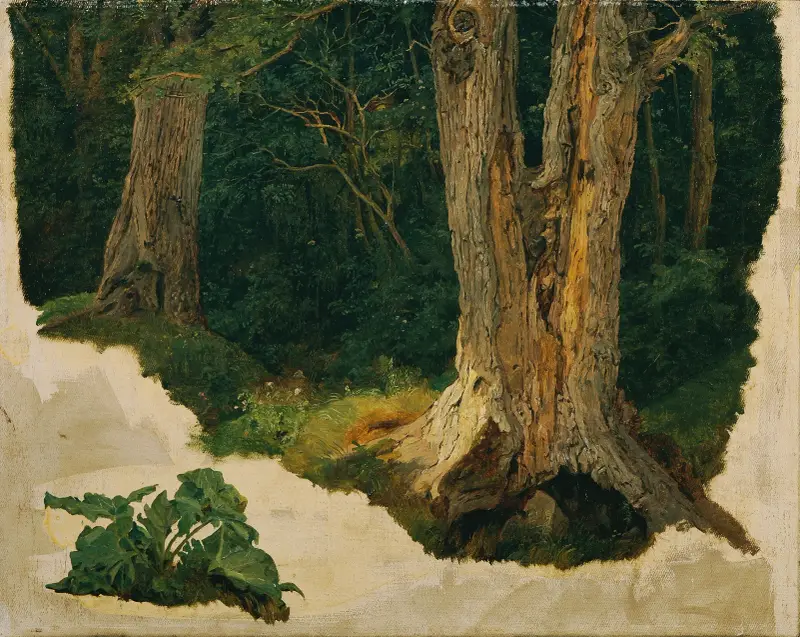 Trädstudie av Ferdinand Georg Waldmüller