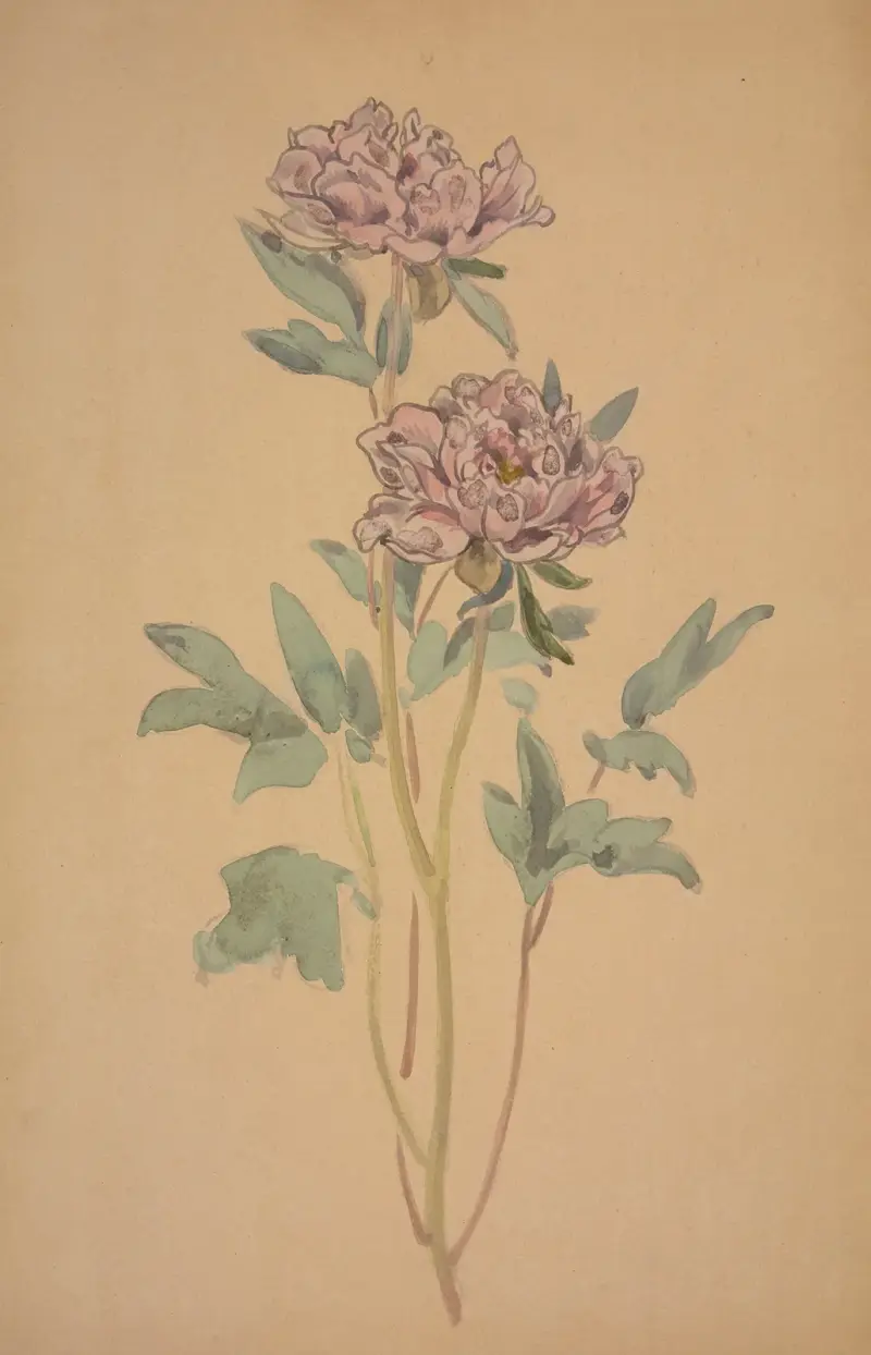 Pioner av George Auriol