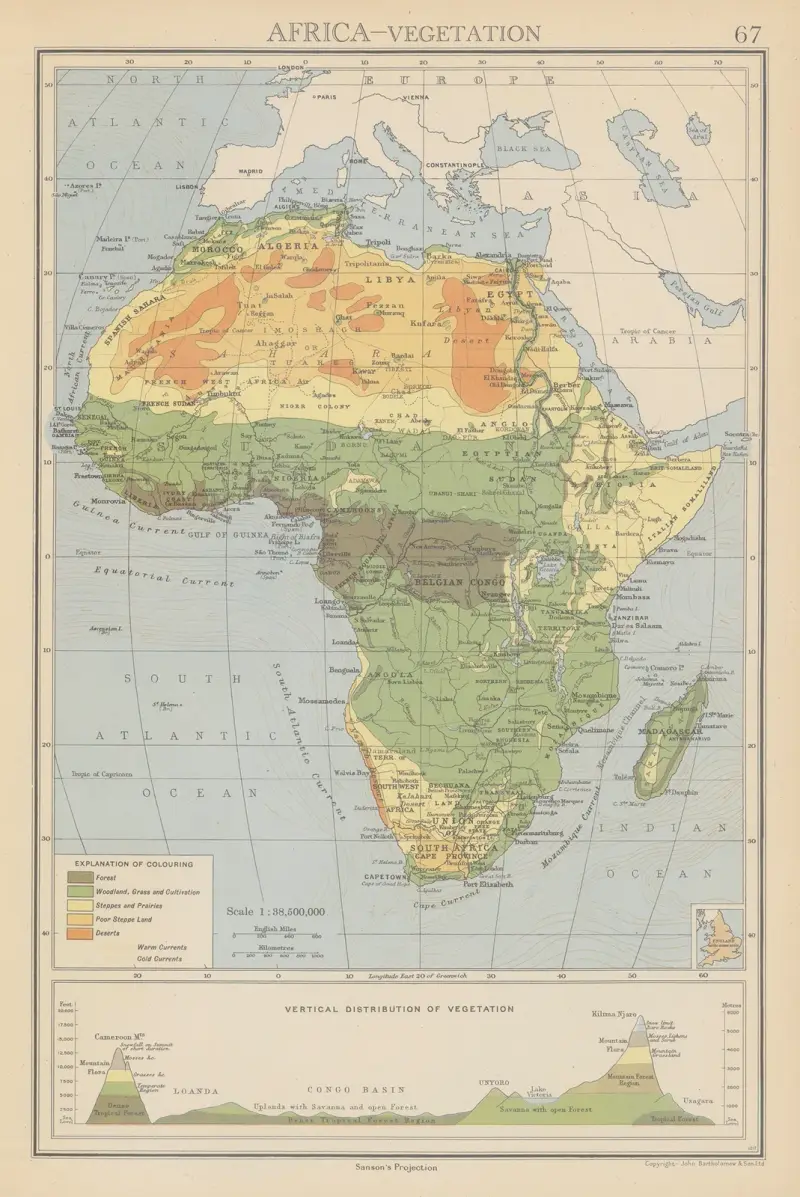Afrika, vegetation av John George Bartholomew