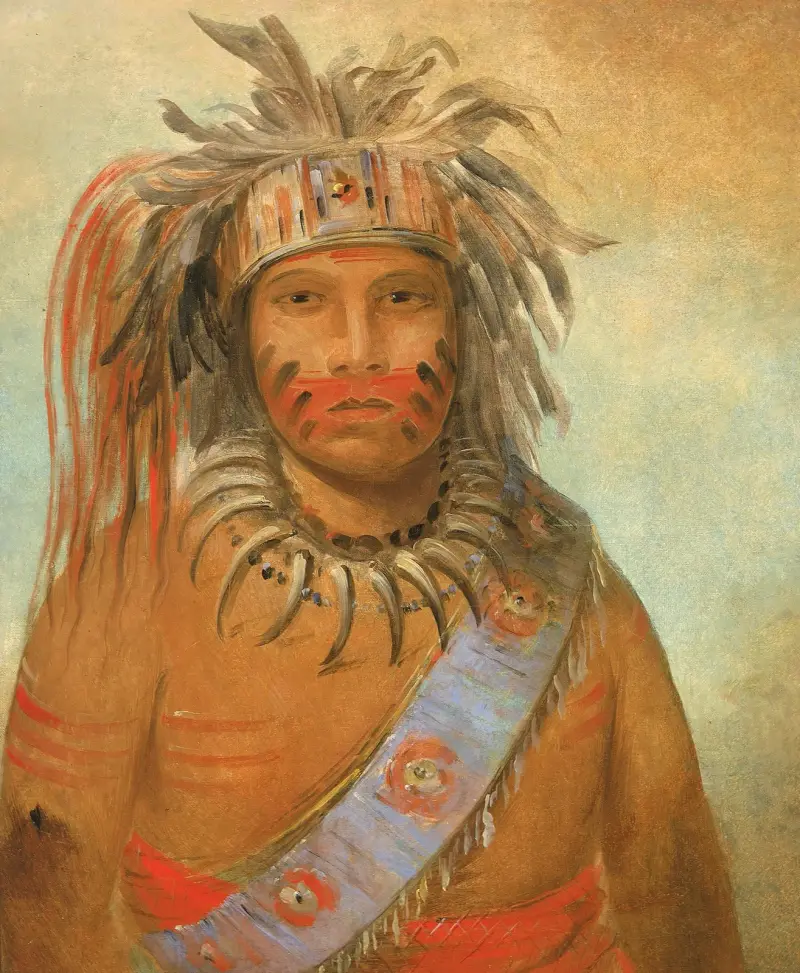 Au-nim-muck-kwa-um, Stormfågel av George Catlin