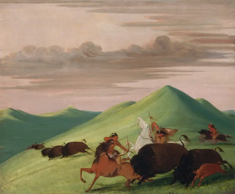 Buffeljakt, tjur som skyddar ko och kalv av George Catlin