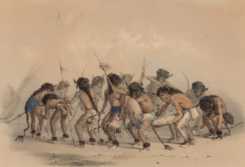 Buffel dans av George Catlin