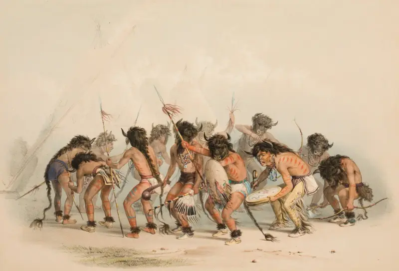 Buffel dans av George Catlin