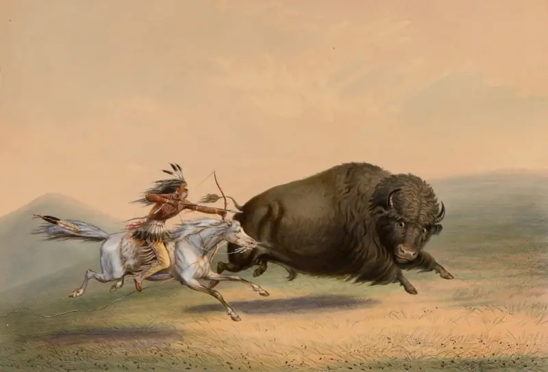 Buffeljakt, jakt – nr 5 av George Catlin
