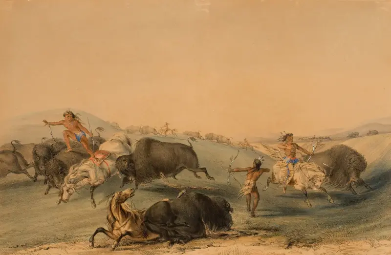 Buffeljakt, förföljelse av George Catlin