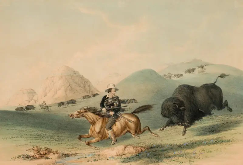 Buffeljakt, jagande tillbaka av George Catlin