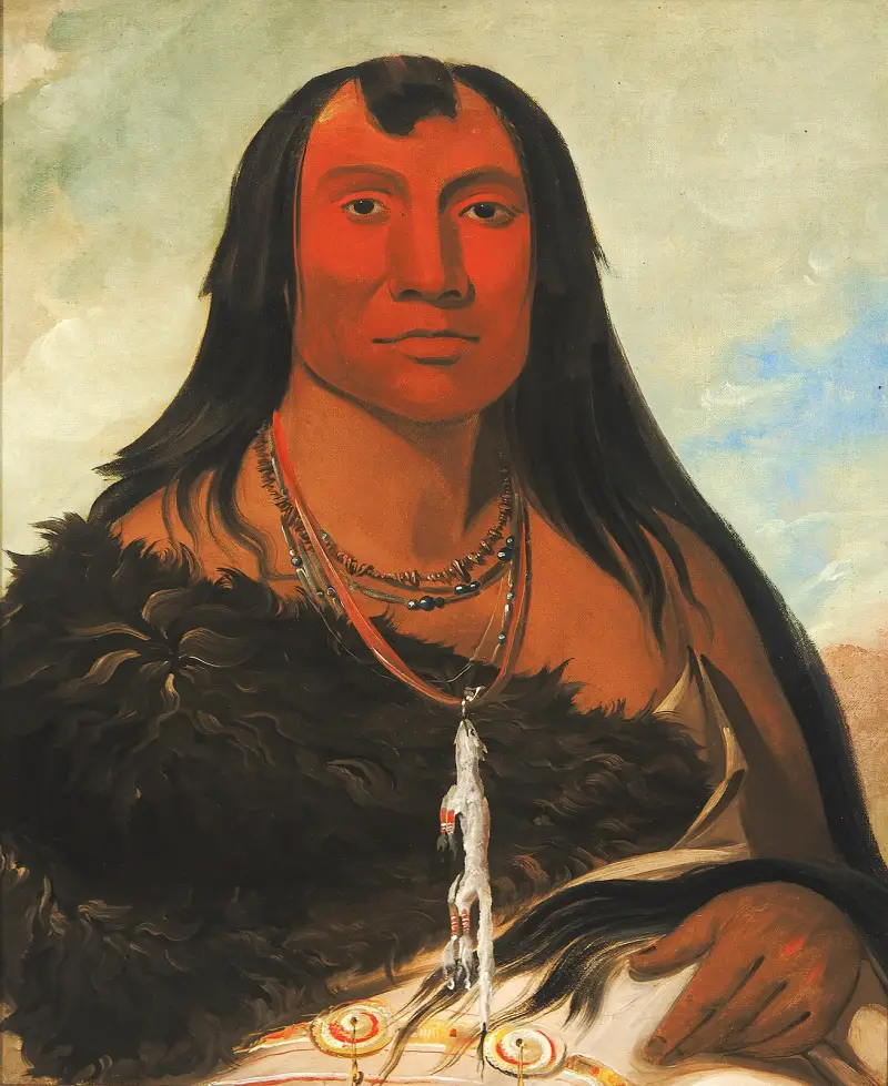 Cháh-Ee-Chópes, Four Wolves, a Chief In Mourning av George Catlin