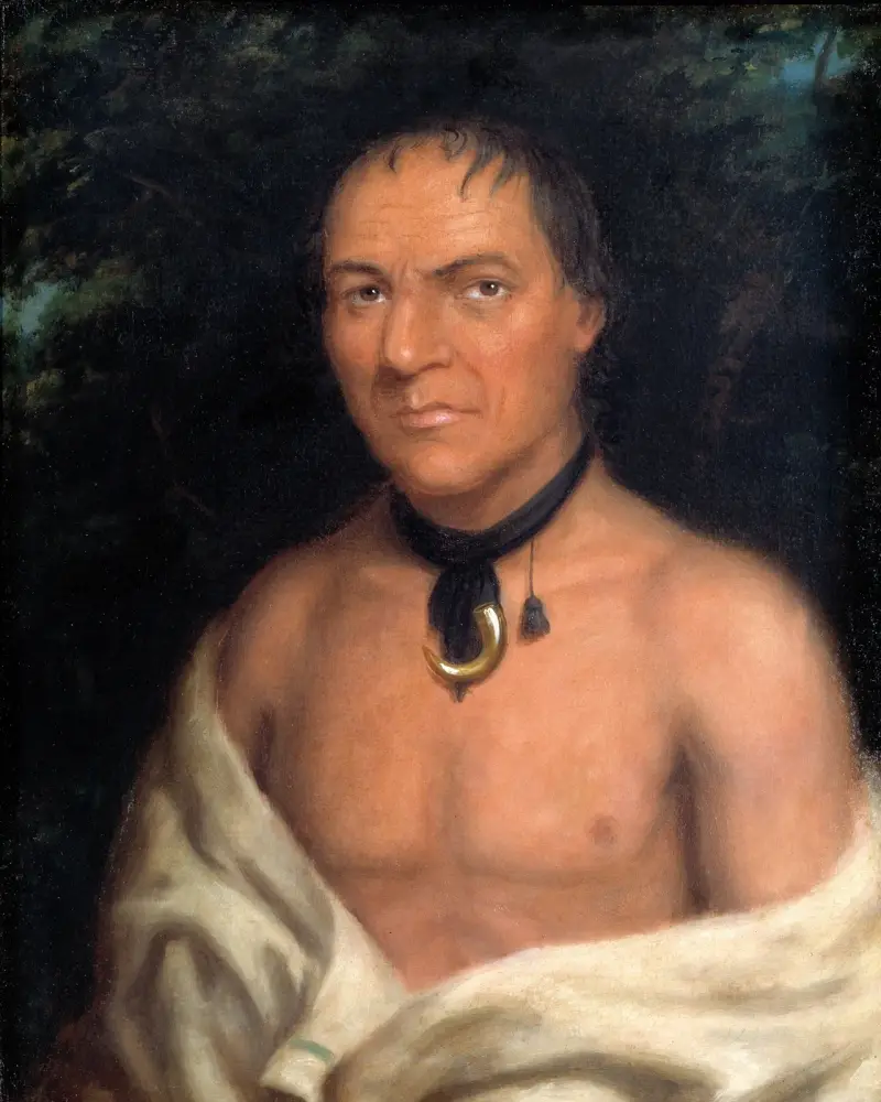 Co-Sne-Boin av George Catlin