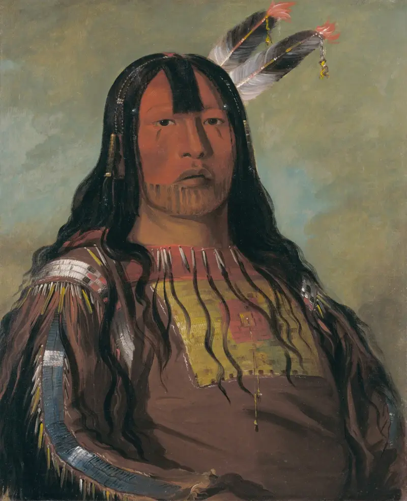Mix-Ke-Móte-Skin-Na, Iron Horn, a Warrior av George Catlin