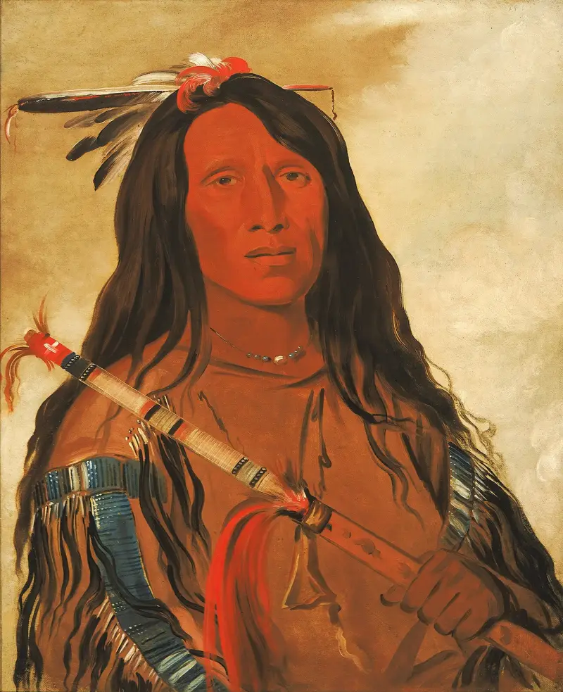 Né-Hee-Ó-Ee-Wóo-Tis, Wolf On The Hill, Chief of The Tribe av George Catlin