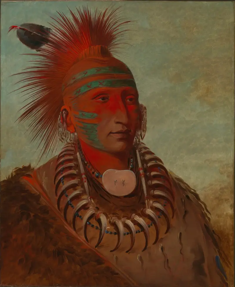 No-Ho-Mun-Ya, One Who Gives No Attention av George Catlin