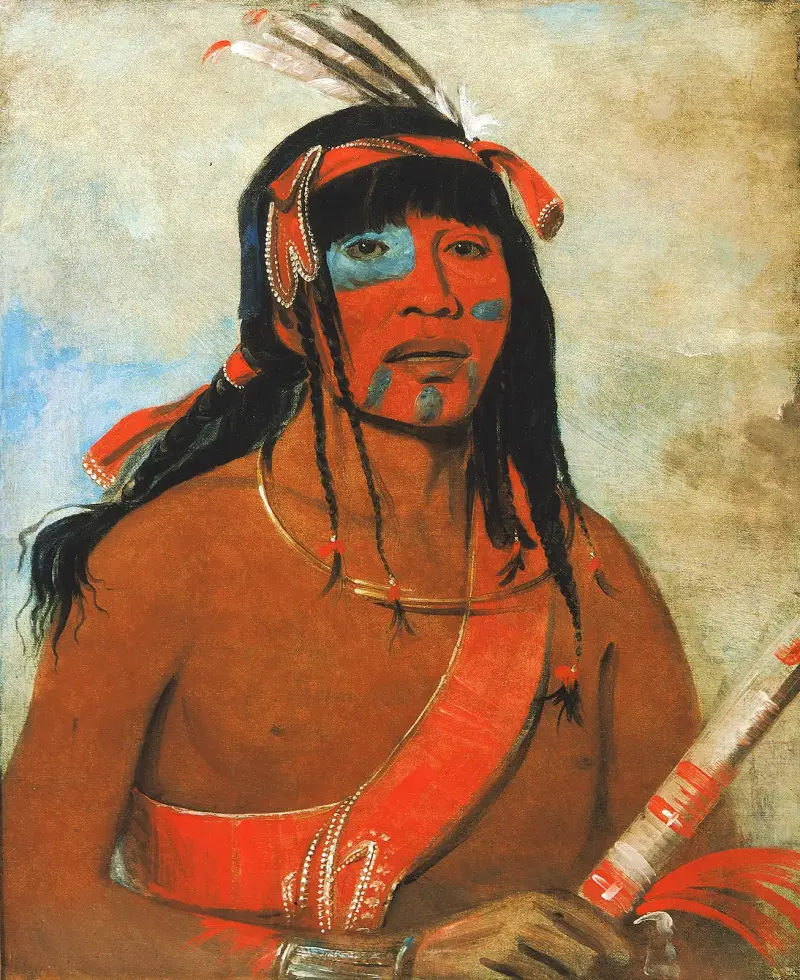 O-Tá-Wah, The Ottaway, a Warrior av George Catlin