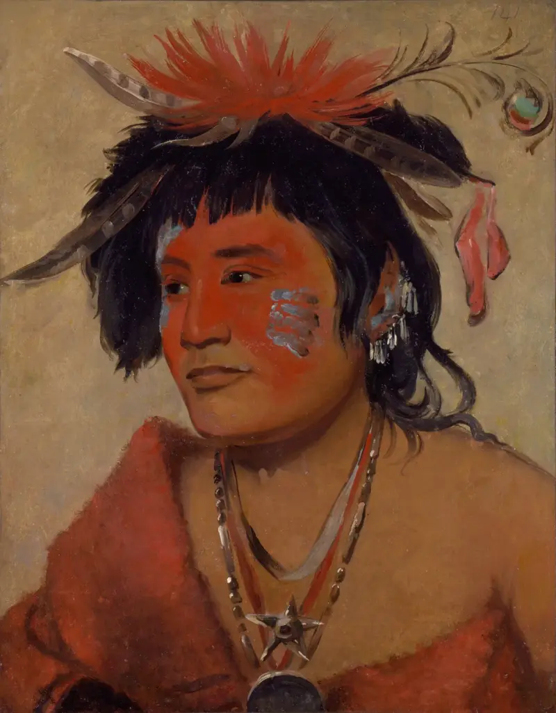 Pah-Shee-Náu-Shaw, a Warrior av George Catlin