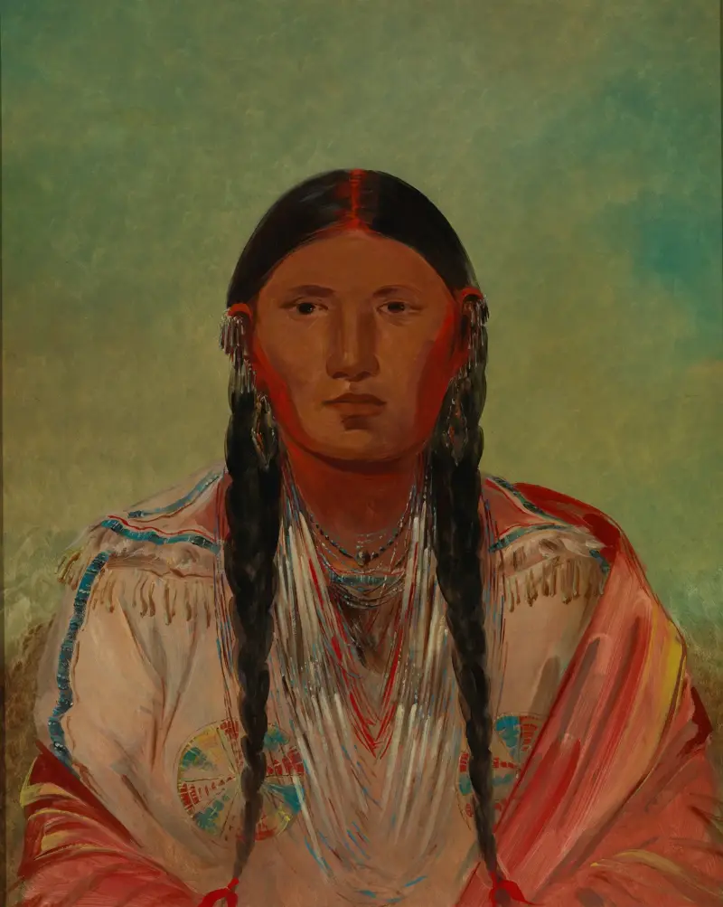 Ru-Ton-Wee-Me, duvan på vingen av George Catlin