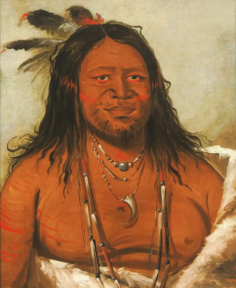 Ta-Wáh-Que-Nah, Felsenberg, Zweiter Häuptling des Stammes von George Catlin
