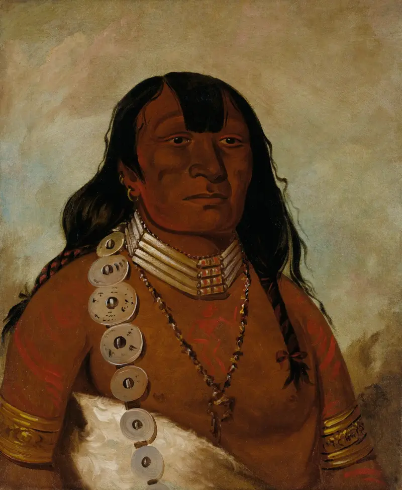 Téh-Tóot-Sah (även känd som Tohausen, Little Bluff), förste hövding av George Catlin