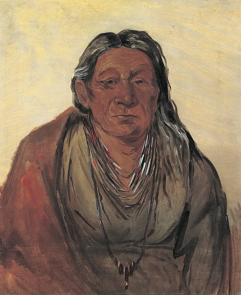 Wah-pe-séh-see, Mother of the Chief av George Catlin