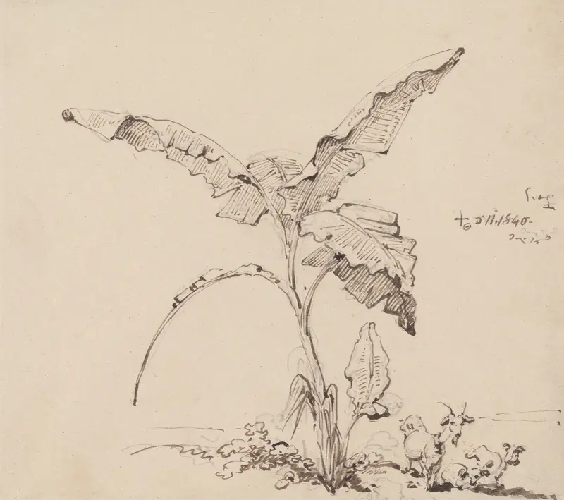 Goats Beneath a Banana Tree av George Chinnery