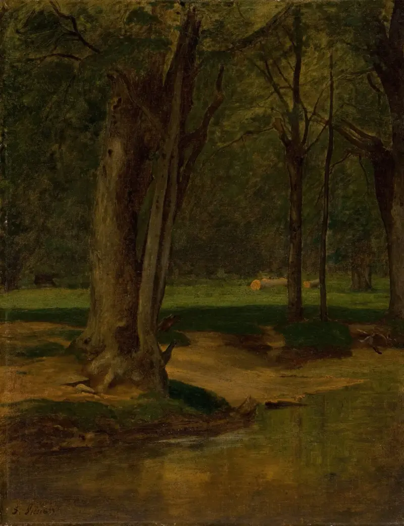 Trout Stream, North Conway von George Inness