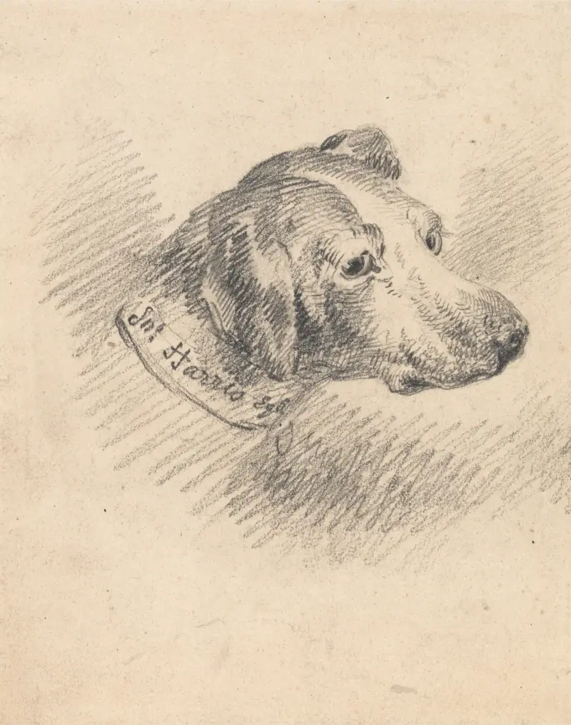 Hundhuvud av George Morland