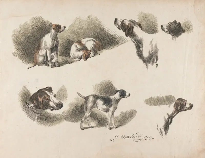 Sju studier av hund av George Morland