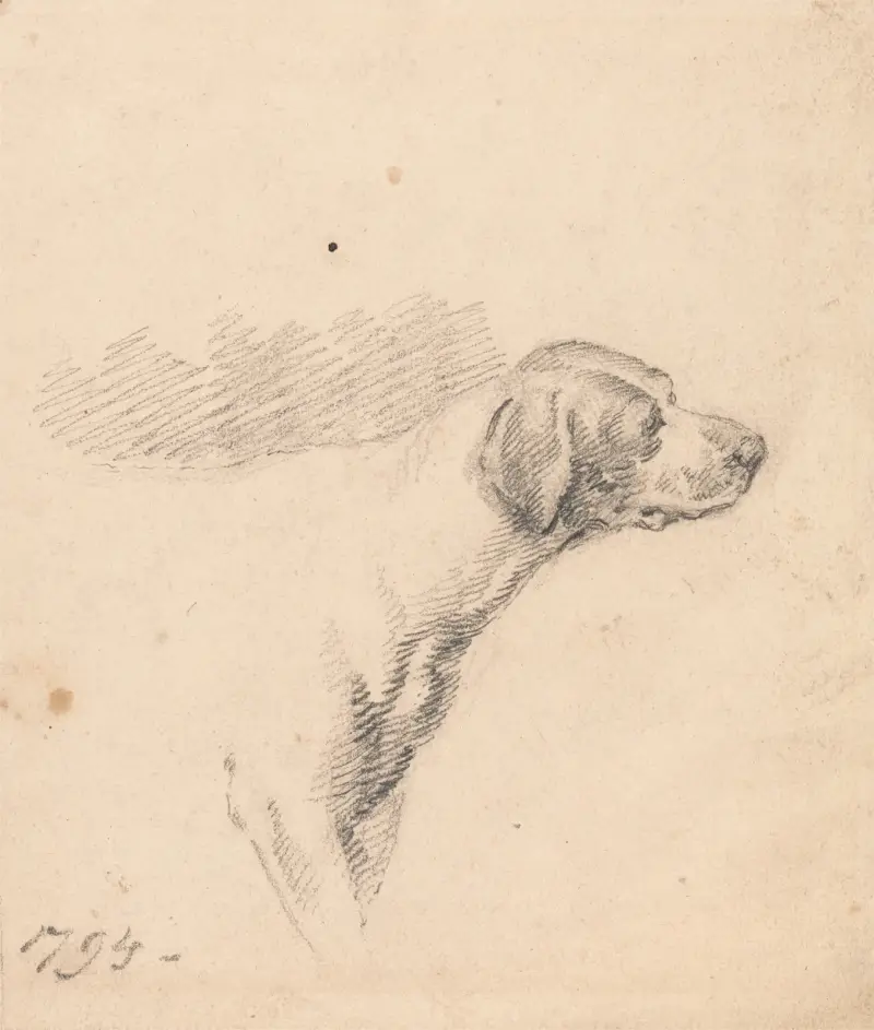 Studie av en hund; huvud och skuldror, vänd åt höger av George Morland