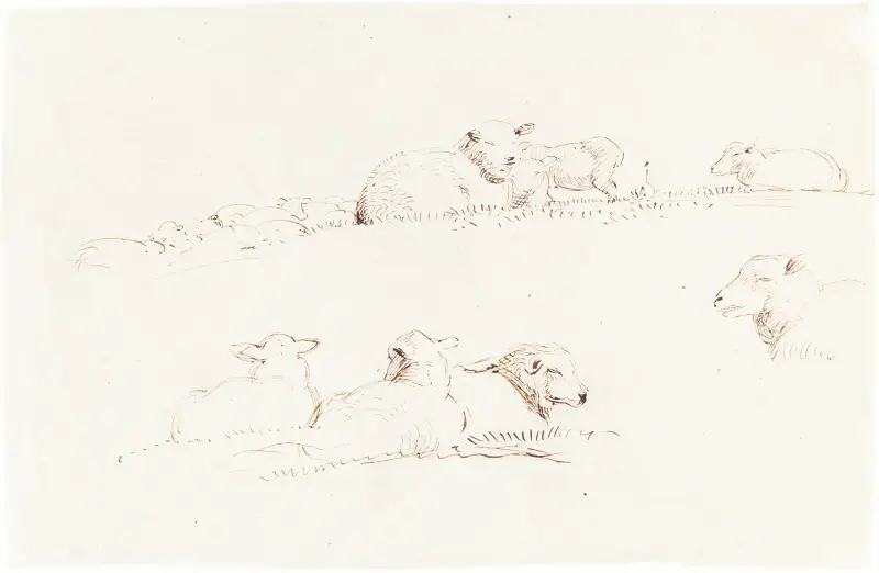 Studies of Sheep in Pasture av George Richmond