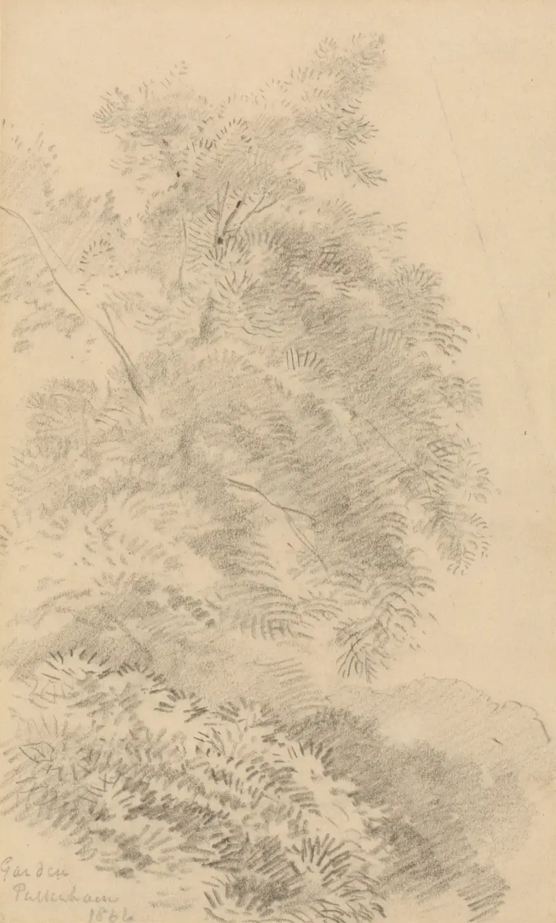 Study of a Tree on a Grassy Bank av George Richmond